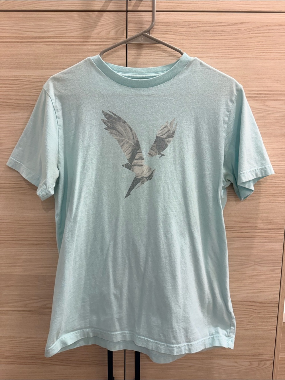 American Eagle Outfitters Light Aqua Short Sleeve Tee with Dove Graphic